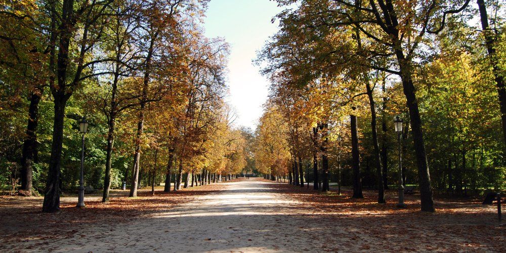 The Ducal park - Parma